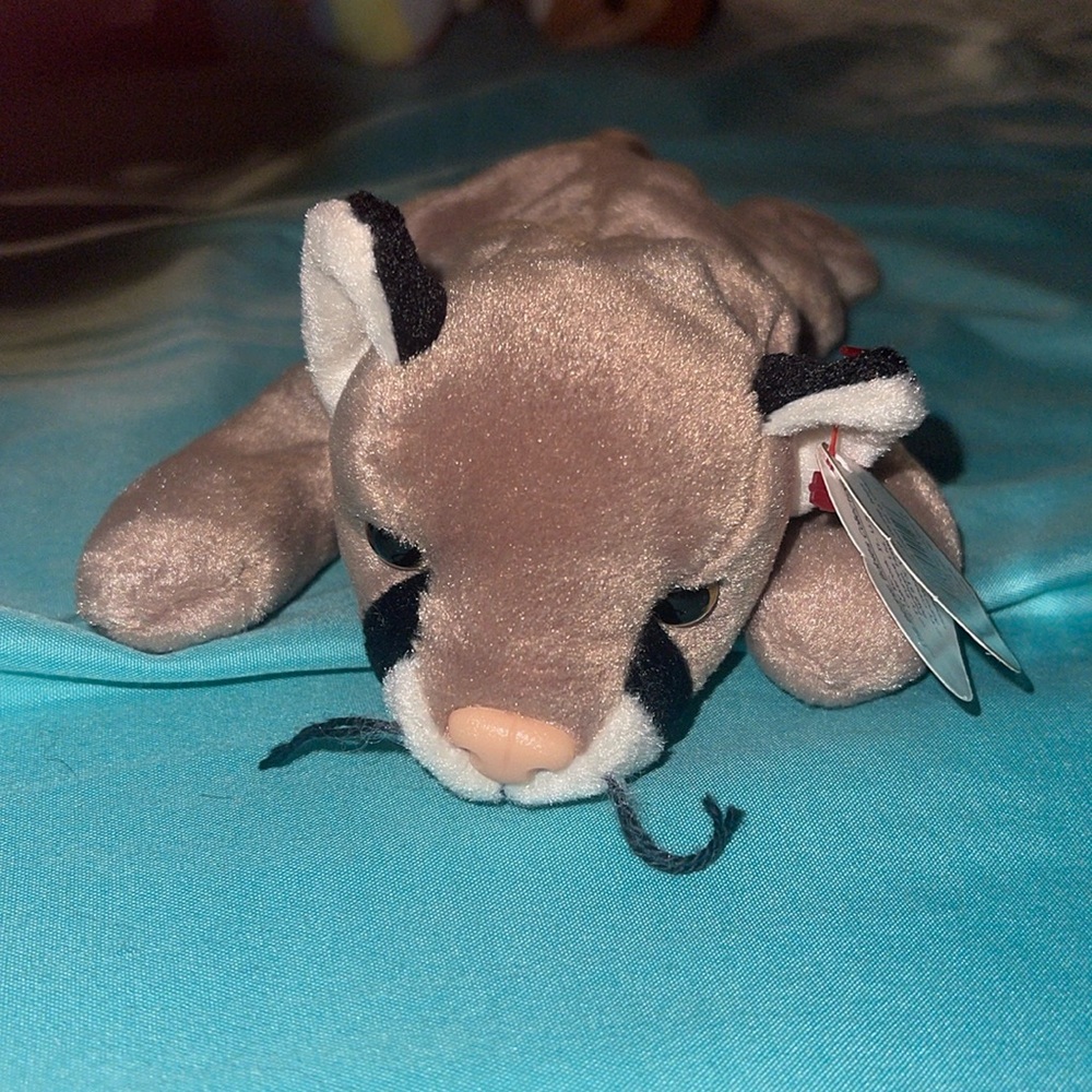 Canyon beanie baby